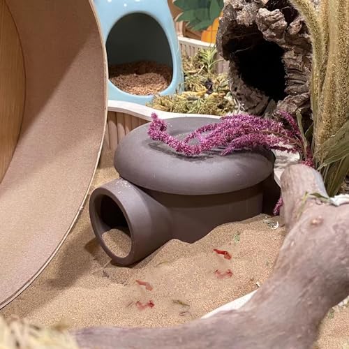 2.8lb Hamster Sand for Sand Bath (Beige-Flower / 2.8lb)