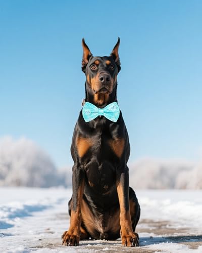 10 Pack Winter Dog Bowties for Large Dogs Sliding on Collar (M/L)