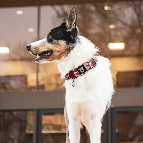 Heavy Duty Thick Dog Collar with Metal Buckle for Large Dogs (L – Fits Neck 18.9"-21.7" / Geometric Style)