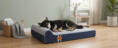 Orthopedic Dog Bed (34.0"L x 22.0"W x 5.5"Th / Slate Blue)