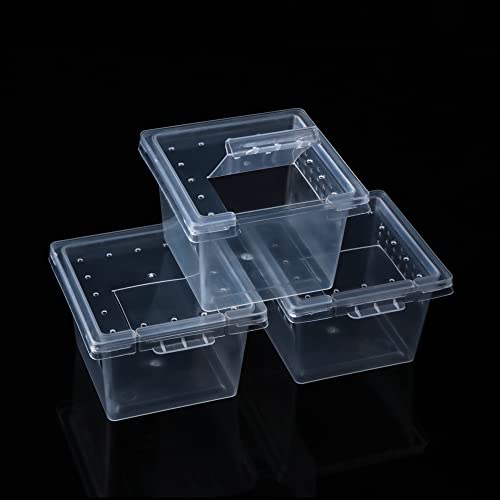 20 Pcs Spider Terrariums Breeding Box Hatching Container Acrylic Feeding Box for Small Reptile Scorpion Centipede Insect