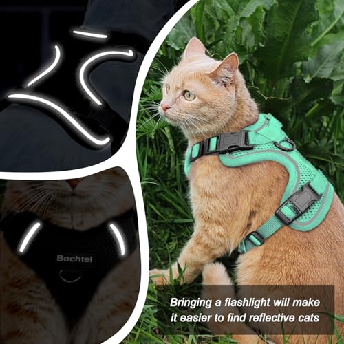 Cat Harness and Leash for Walking (Green / Medium (13-18lb))