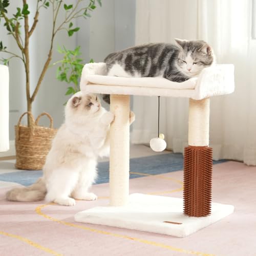 Cat Scratching Post Small Cat Tree with Cat Self Groomer (Medium / Beige)