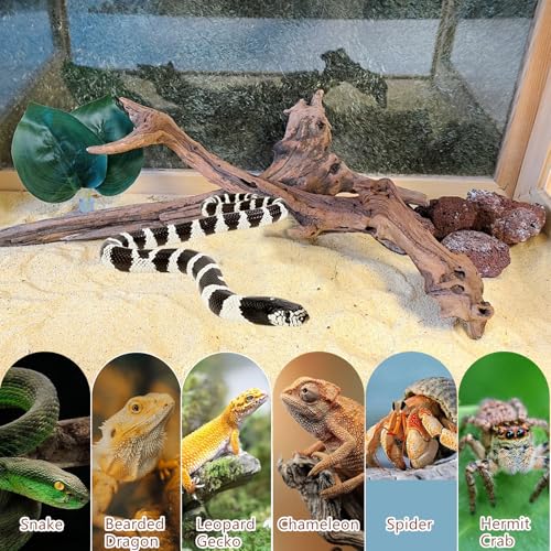 2PCS Snake Climbing Branches (2Pcs 10-12in Reptile Climbing Branches)