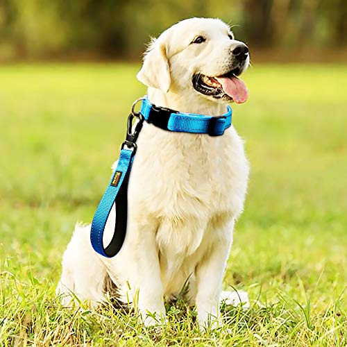 10” Short Dog Leash (Blue / 10 Inch (Pack of 1))