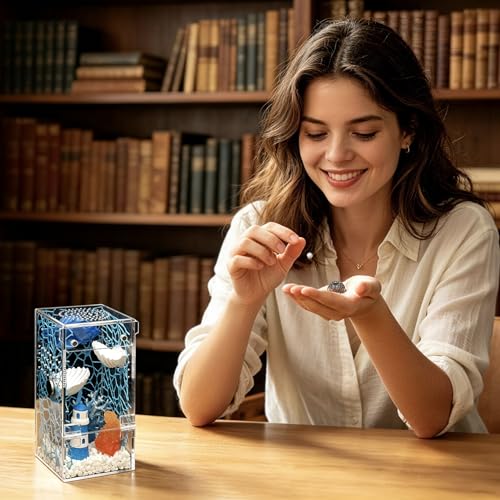 Jumping Spider Enclosure Starter Kit (Blue / Small)