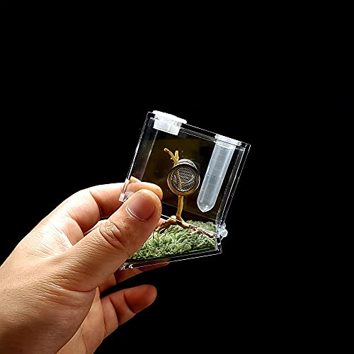 Jumping Spider Micro Habitat (2x2x2.1inches)