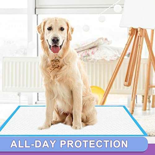 Puppy Pee Pads 22"x23" (22" x 23" (80 Count Standard))