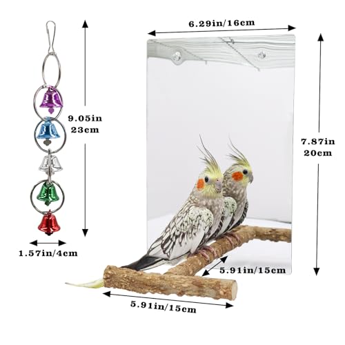 Bird Mirror Toy with Perch Stand (7.9 × 6.3 Inch)