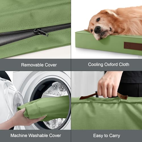 Orthopedic Waterproof Dog Bed for Small Dogs and Cats (Light Green / 29.0"L x 18.0"W x 3.0"Th)