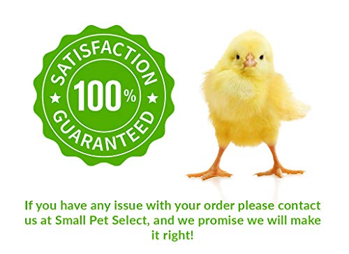 Chicken Starter Feed (20 Pound (Pack of 1) / Green)