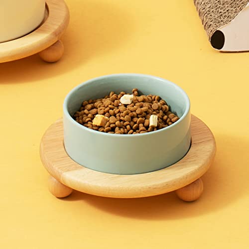 Raised Cat Bowl 6.1” Elevated Ceramic Cat Food and Water Bowl (Light Green)