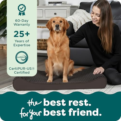 Orthopedic Dog Bed for Large Dogs (Jumbo/XL / Chocolate)