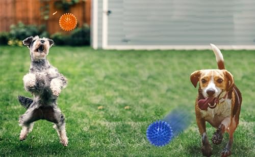 Dog Squeaky Toys Value Set Non (3 Pack Spiky Balls)
