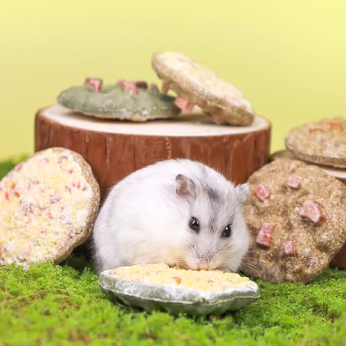 Cookie Guinea Pig Toys (3PCS-Cookie)