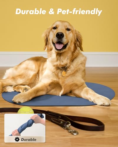Absorbent Dog Food Mat (Blue / 12"x19")
