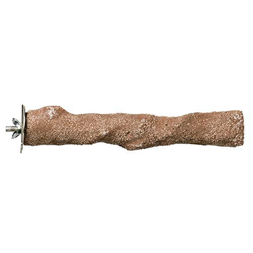 Pacific Perch Branch Ideal for Small to Medium Birds (Large)