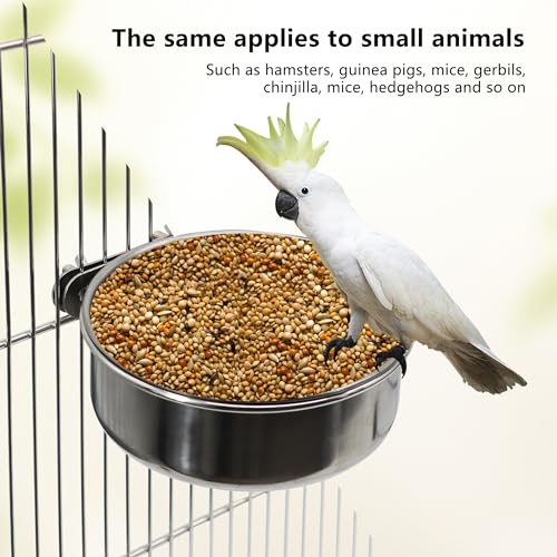 Stainless Steel Bird Feeding Dish Cups (Medium / 4 Pack)