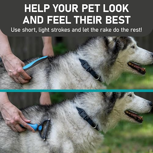 Pet Grooming Rake and Dematting Comb (C - Rake and Comb Kit (Best Value) / Large)