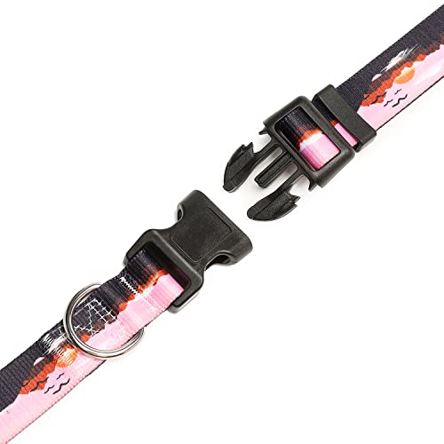 Adjustable Dog Collar (Extra Small / Sunset)