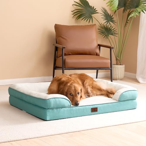 Orthopedic Dog Bed for Large Dogs (Turquoise Blue / 35.0"l X 22.0"w X 6.5"th)