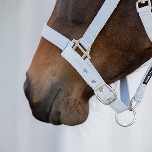 Loki Nylon Horse Halter (Sweet Blue / Pony)