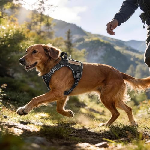 Tactical Dog Harness for Small Dogs (S(Chest:16.1"-31.5",Neck:15.4"-21.6",Back:7.1") / Black)