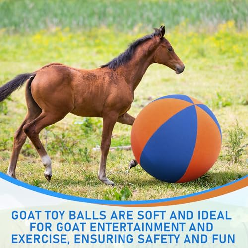 Giant 40 Inch Herding Balls with Ball Cover (Blue,Orange / 40 Inch / Cute)