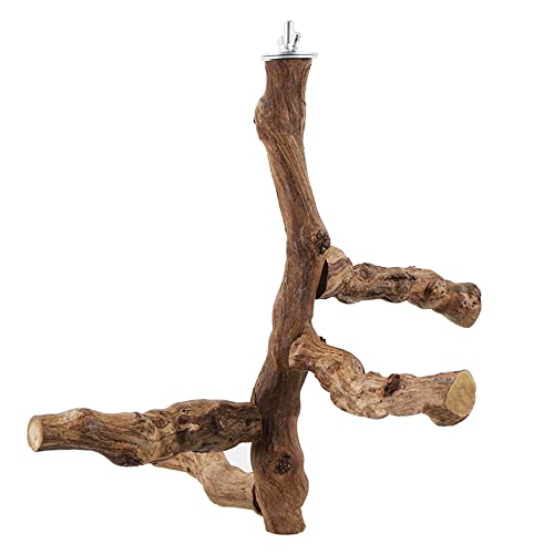 6 PCS Bird Perch Stand Natural Grapevine with Chewing Toys for Parrots (Style 8)