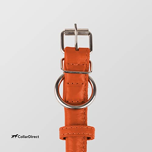 Tangle Free Rolled Leather Dog Collar (Orange / XL)