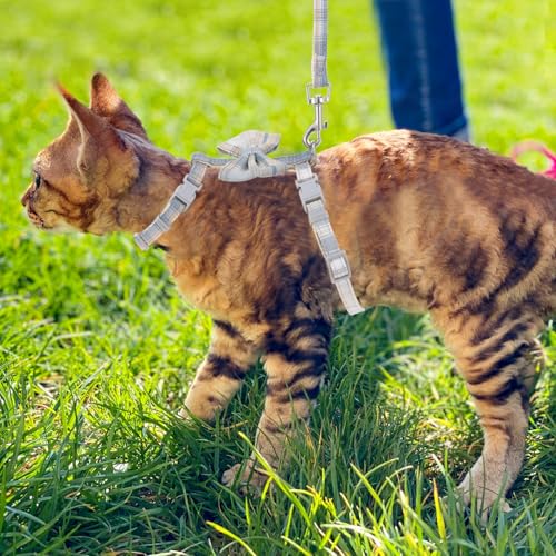 Cat Harness and Leash Set (Bow Tie)