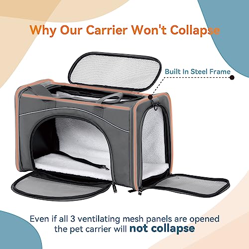 Airline Approved Pet Carrier for Small Dogs & Cats (Grey / 19.0"L x 9.5"W x 12.0"H)