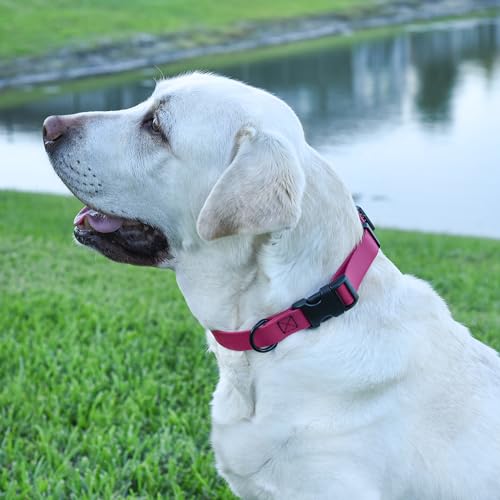 Biothane Waterproof Dog Collar with Quick Release Buckle Strong Coated Nylon Webbing with Odor (3/4"W by 12-19"L / Magenta Pink)