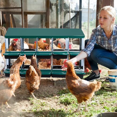 Chicken Nesting Box (Green- 10 compartment)
