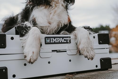 Impact Collapsible Dog Crate (Gray / 30.5"L x 20.5"W x 26.0"H)