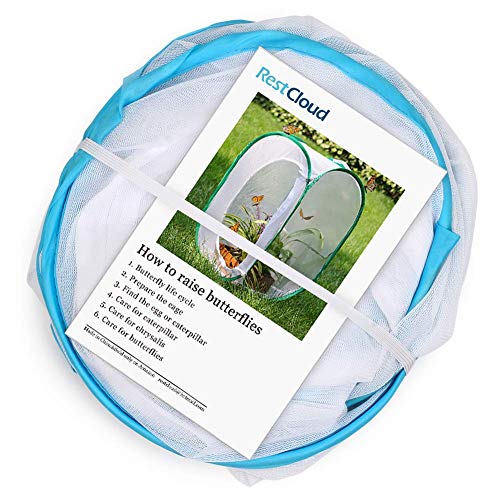Insect and Butterfly Habitat Cage Pop (White With Blue / 15.7 x 15.7 x 23.6 inches)