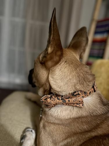 Halloween Dog Collar with Bowtie (A:Halloween / Small (Pack of 1))