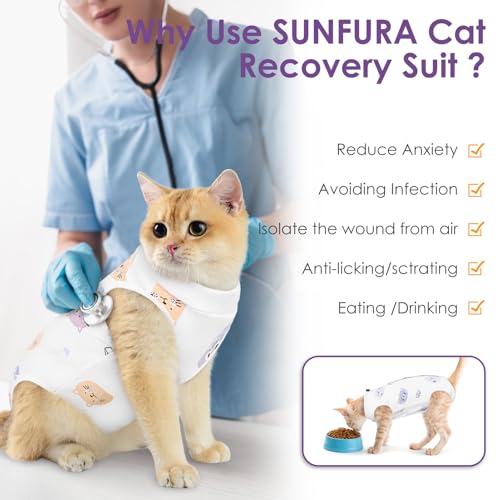 Cat Recovery Suit (Cat / Medium)