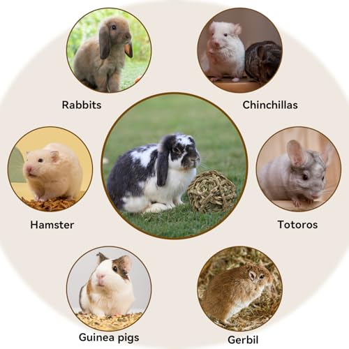 Rabbit Timothy Grass Ball 6 Pcs