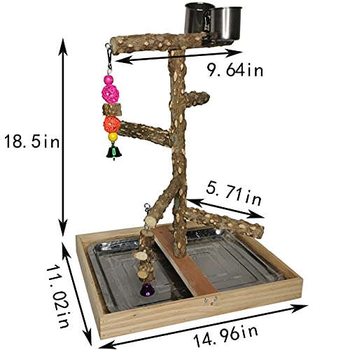 Bird Perch Natural Wood Stand Parakeet Playground Toy Parrot Play Stand Platform Bird Cage Branch Perch Accessories for Canaries Cockatiels Conure Lovebirds