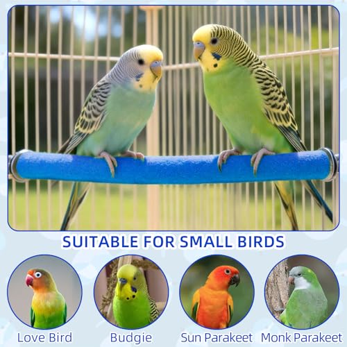 90 Degree Parrot Perch for Cage Corner (Small / Blue-corner-90)