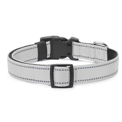 Reflective Dog Collar (Silver / S:width 5/8"neck 10.5-16")