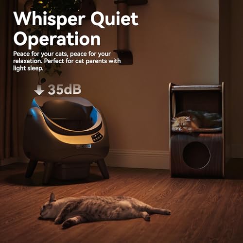 Self Cleaning Cat Litter Box Open (Grey / Large, Single-Cat)