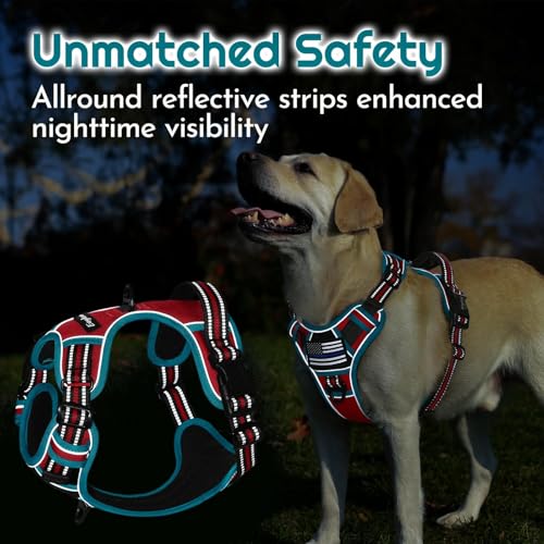 Dog Harness No Pull for Large Dogs (Large / Red & Teal)