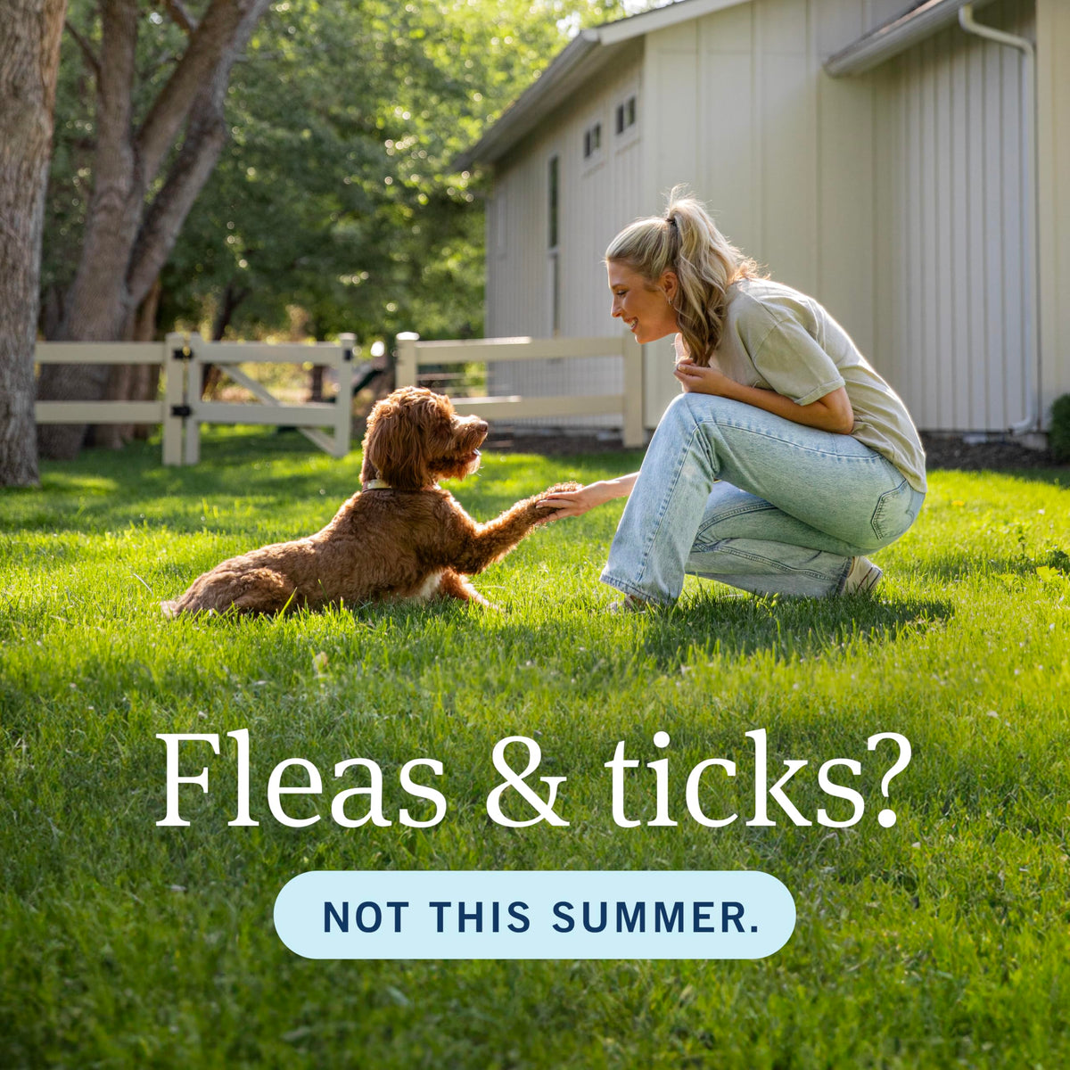 Plus Flea & Tick Topical Dogs 45 (45-88 lbs / 3 Count)
