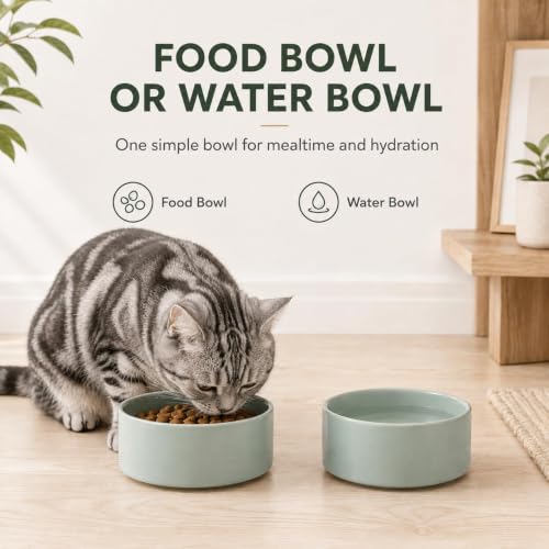 Cat Bowls Set of Two (Light Green)