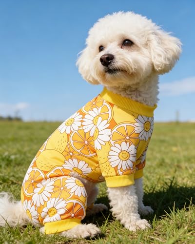 4 Pack Pink Cow Dog Pajamas for Small Dogs (Medium)