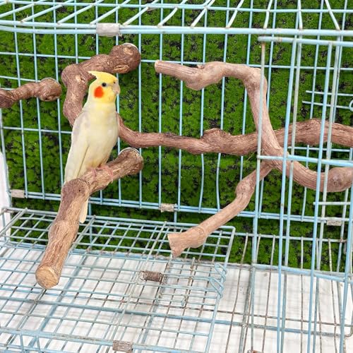 5 PCS Natural Grape Stick Perch Swing Chewing Toys for Parrot Cages (1)
