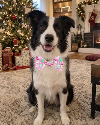 10 Pack Christmas Dog Bowties for Extra Large Dogs Sliding Collar (L/XL)