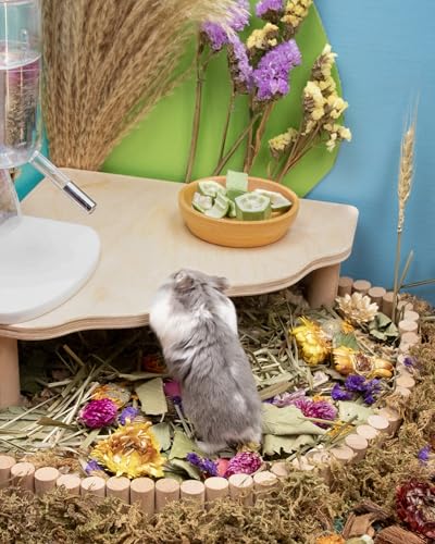 Hamster Snack Treat Toy